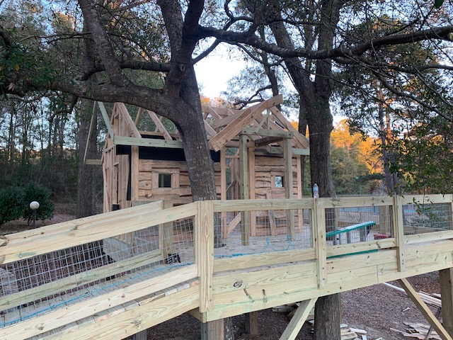 Elevated deck structure framed among mature trees