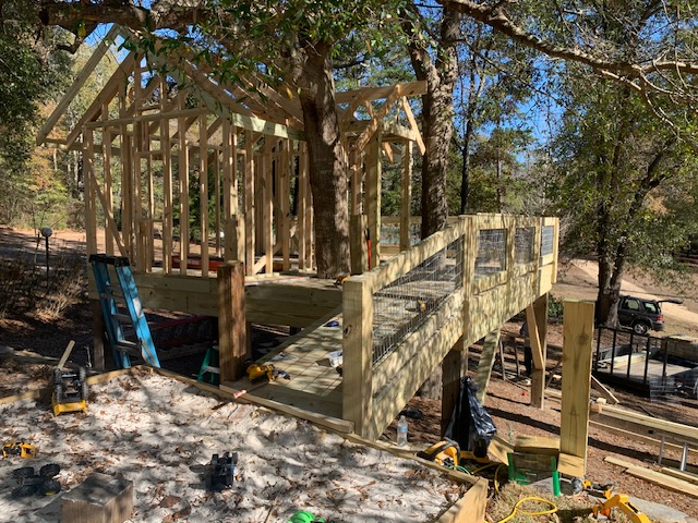 Elevated deck structure framed around a large oak tree